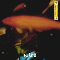 Apricot 21: Vakho