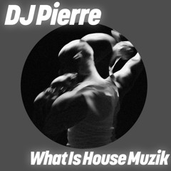 What Is House Muzik (Ricardo Villalobos What Is Dub)