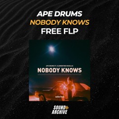 Ape Drums - Nobody Knows (Remake) [FREE FLP]