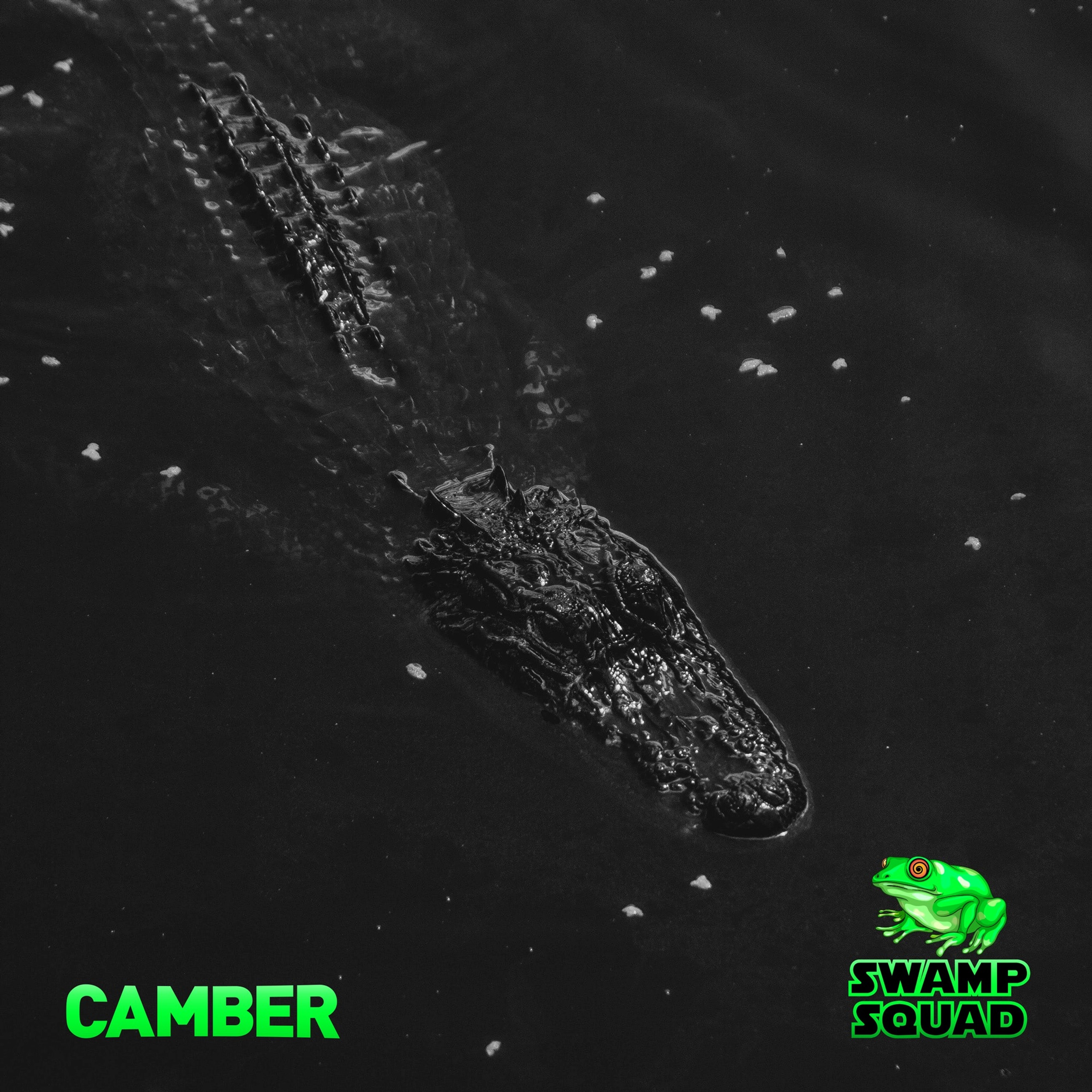 CAMBER