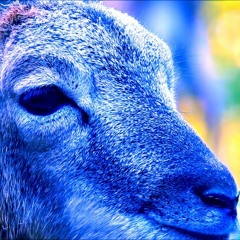 Harry Stone - Daydreaming (Just__Joee Flip)