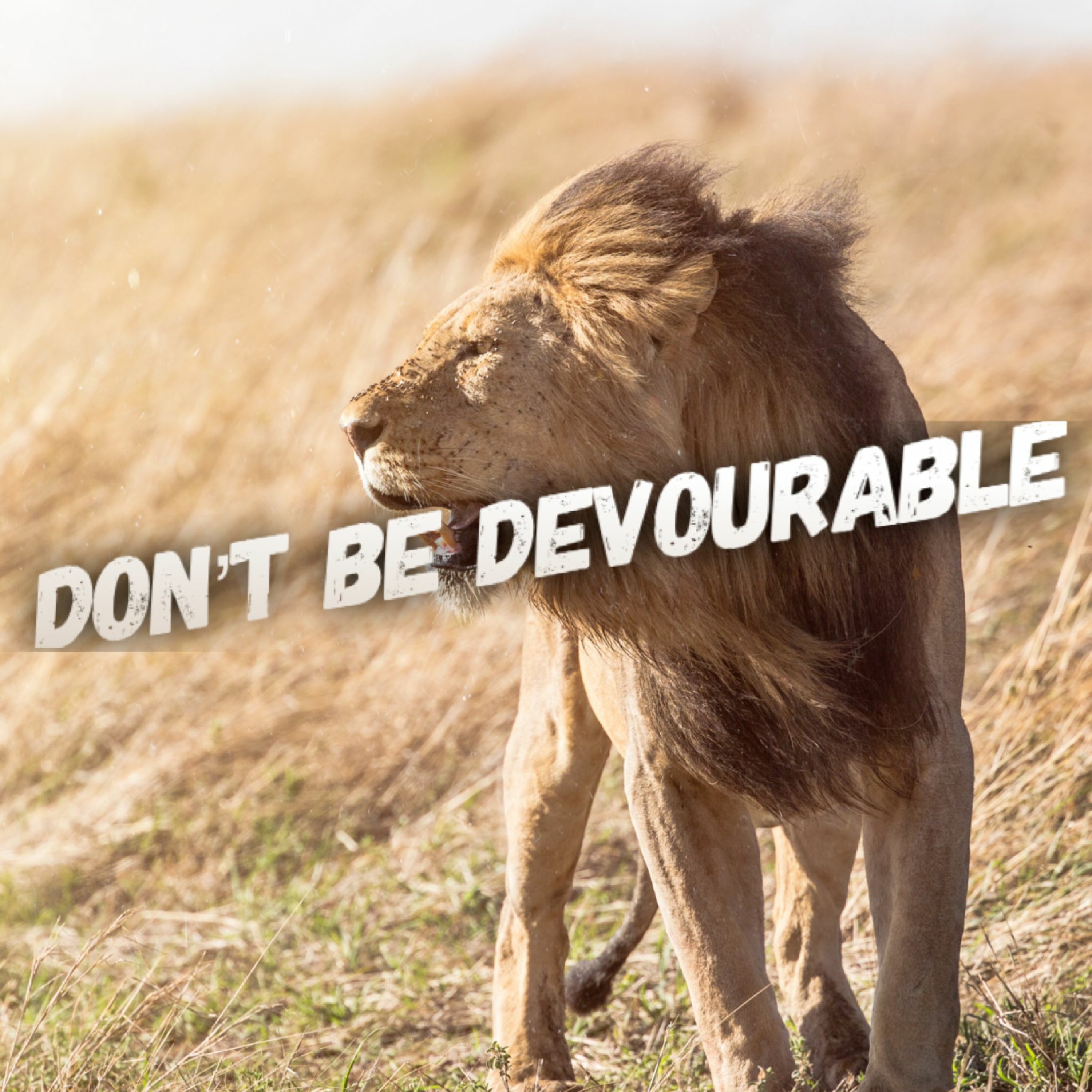 3/12/23 - Don't Be Devourable episode artwork
