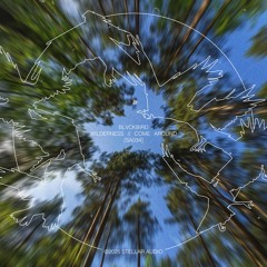 BLVCKBIRD - WILDERNESS / COME AROUND