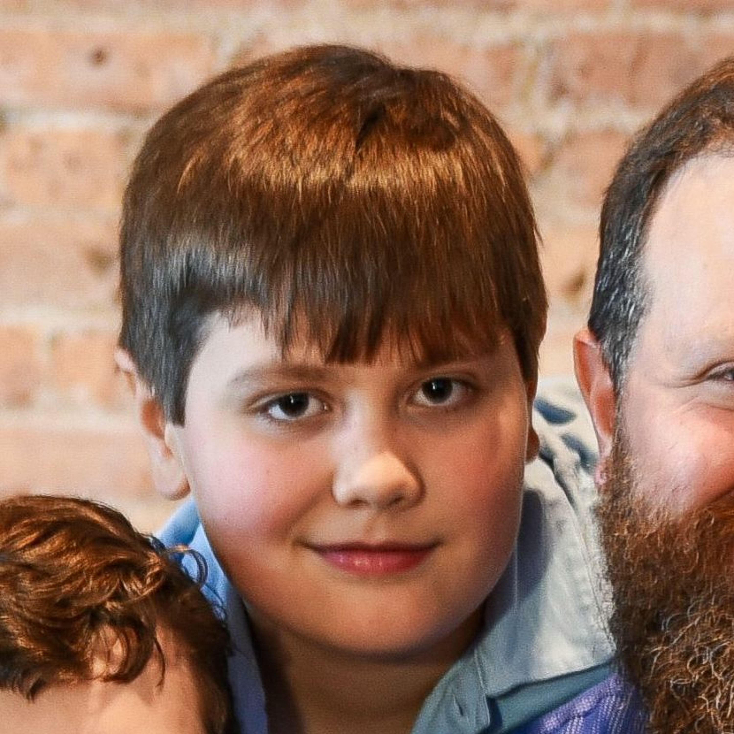 Lewis' Confirmation Testimony