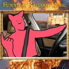 me mums car