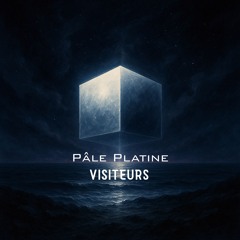 Visiteurs