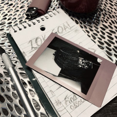 bye bye birdie (LEAKED)