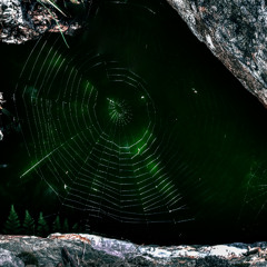 Phantom - the path through the abyss ,,demo"