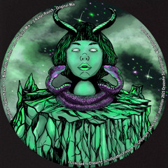 Kolibrix - Back With Another One [Cut] Dreizehn Schallplatten
