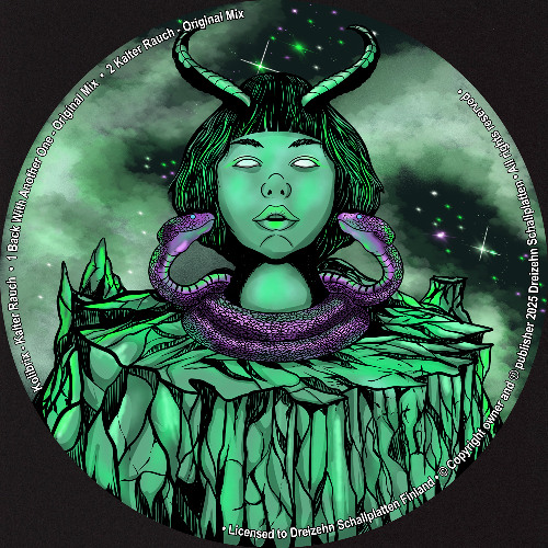 Kolibrix - Back With Another One [Cut] Dreizehn Schallplatten