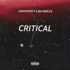 Critical Ft. Jah Briccs