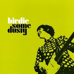 Birdie - Folk Singer