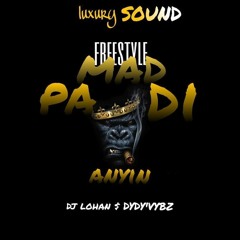 Freestyle mad pa di anyin dj lohan and dydyvybz