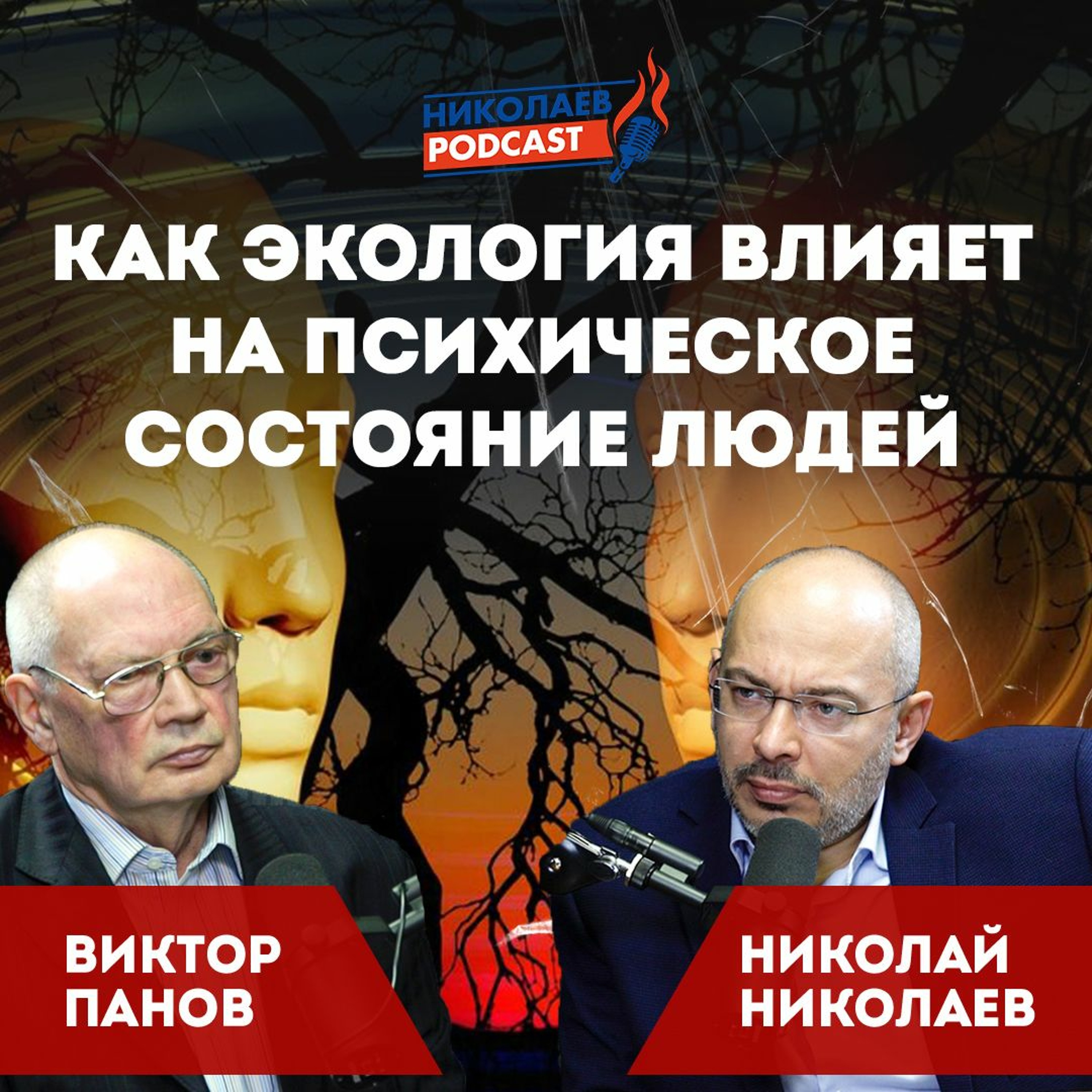 ЭКОпсихология. Как экология влияет на психическое состояние людей