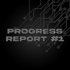 Progress Report #1