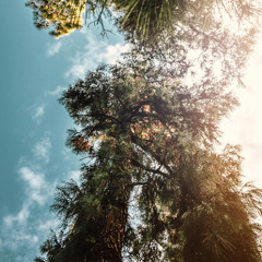 11-06-2025 Look Up