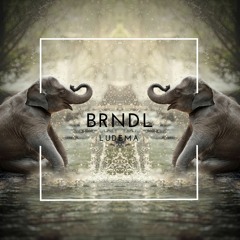 BRNDL - Ludema