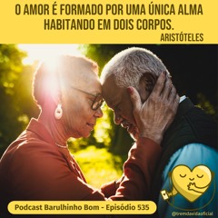 535 Amor