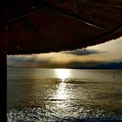 REGGAE COLLECTION SUMMER COVID- 19