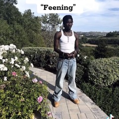 feening - nino paid, lazer dim 700 (snippet)