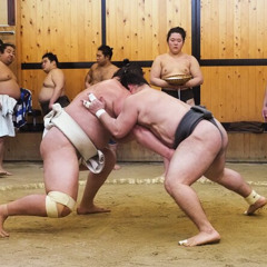 Review Special Price Sumo Morning Training Watch in Tokyo