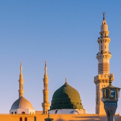 وصف حضرة النبي ﷺ للشيخ أمين الدشناوي الجزء الأول