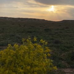 شيله# متى على الله يطلع سهيل كلمات حمد القاشوطي. اداء عبدالرحمن ال نجم..m4a