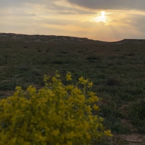 شيله# متى على الله يطلع سهيل كلمات حمد القاشوطي. اداء عبدالرحمن ال نجم..m4a