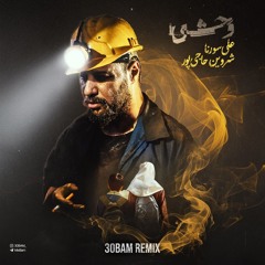 Vahshi - Shervin Hajipour x Ali Sorena