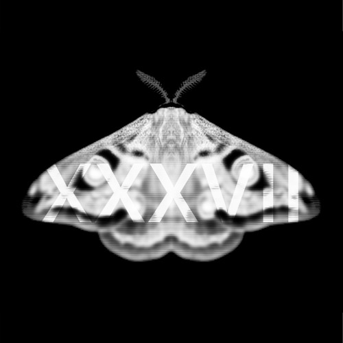 |PREMIERE| Martyn Hare - Fuzz [EMETIC037]