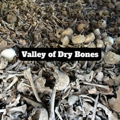 Valley of Dry Bones