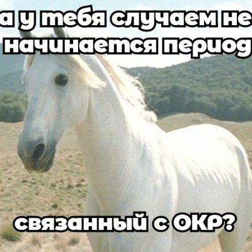 Песня бывших Антона и Сени