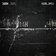 dZb 391 - Ryder DJ - Takeoff (Original Mix).