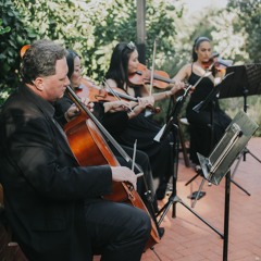 Despacito (Luis Fonsi ft. Daddy Yankee, Justin Bieber) - String Quartet