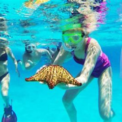 Review Special Price Catalina Island Snorkeling Tour On A Luxury Catamaran