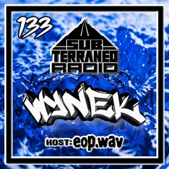 SubTerraneo Radio Ep.133:Wynek
