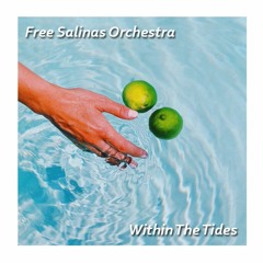 New: Free Salinas Orchestra - Within The Tides (Special Edit)*excerpt*