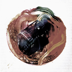 Snakes In Prada [YuneyLae]