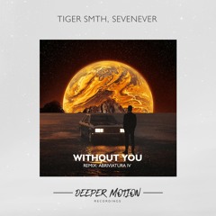 TIGER SMTH, SevenEver - Without You (Abriviatura IV Remix)