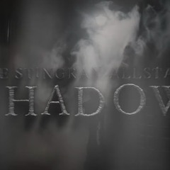 Stingray Allstars Shadow 24-25