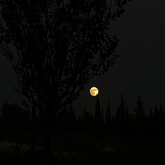 🌠