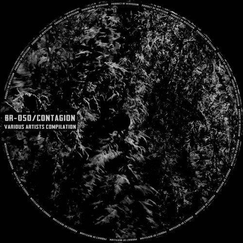 CREPUSCULAR - A Crown Of Bones [excerpt]