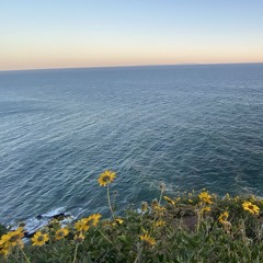 06.30.25 oceanside - 7:3:25, 1.15 PM