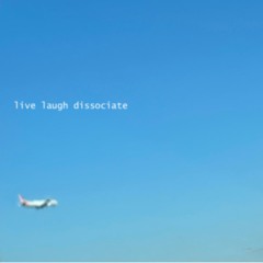 live laugh dissociate - powerline traps airplane