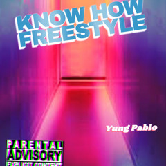 dont know how (freestyle)