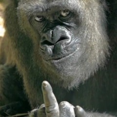 наслаждаюсь