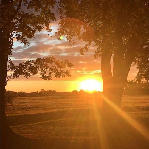 piano Wonder- dilancord_34