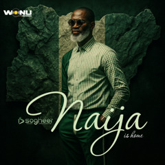 Naija is Home