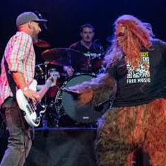 Most Punk Least Punk 209