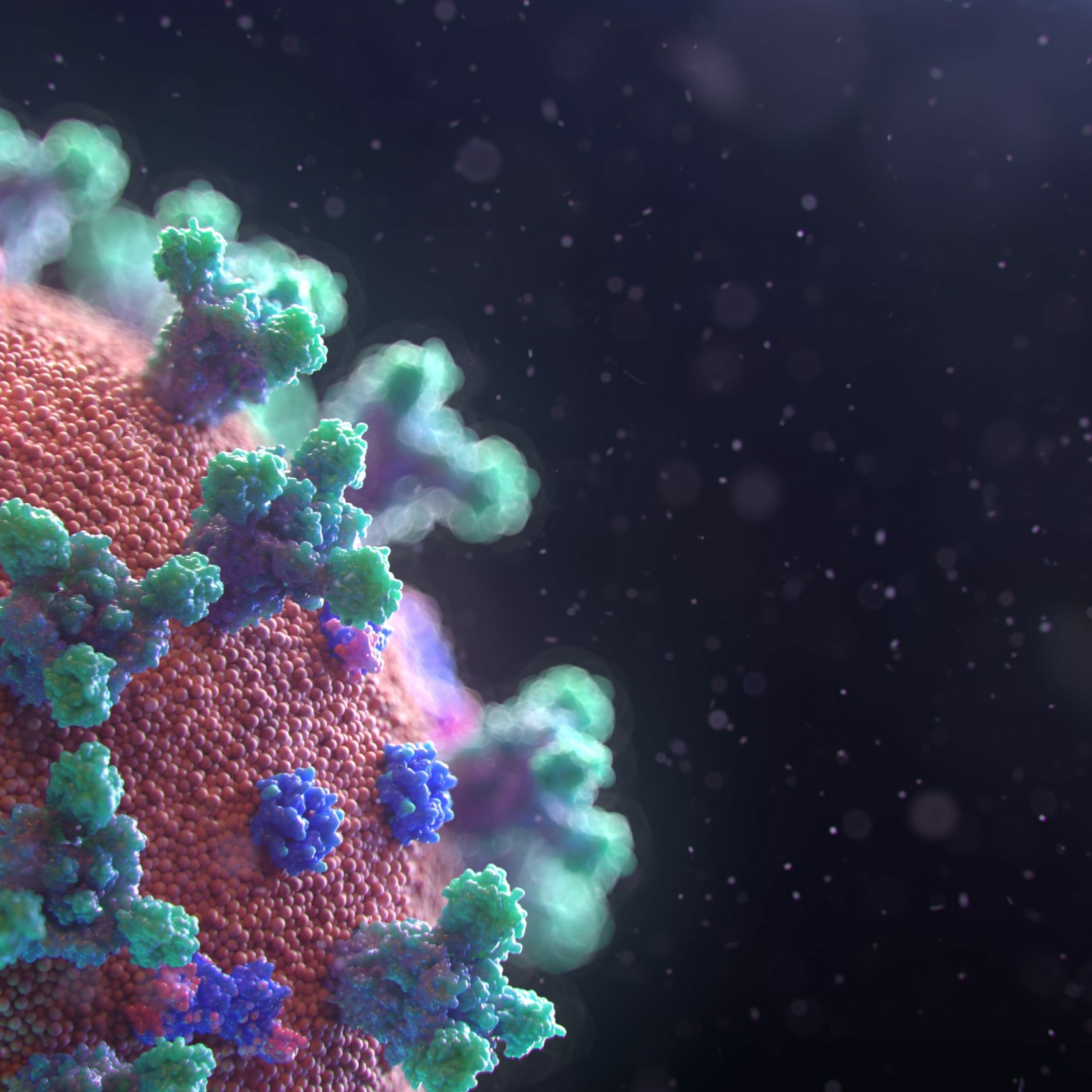 Virus episode artwork